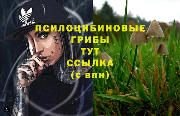 Альфа ПВП Беломорск
