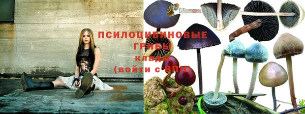 mdpv Белоозёрский